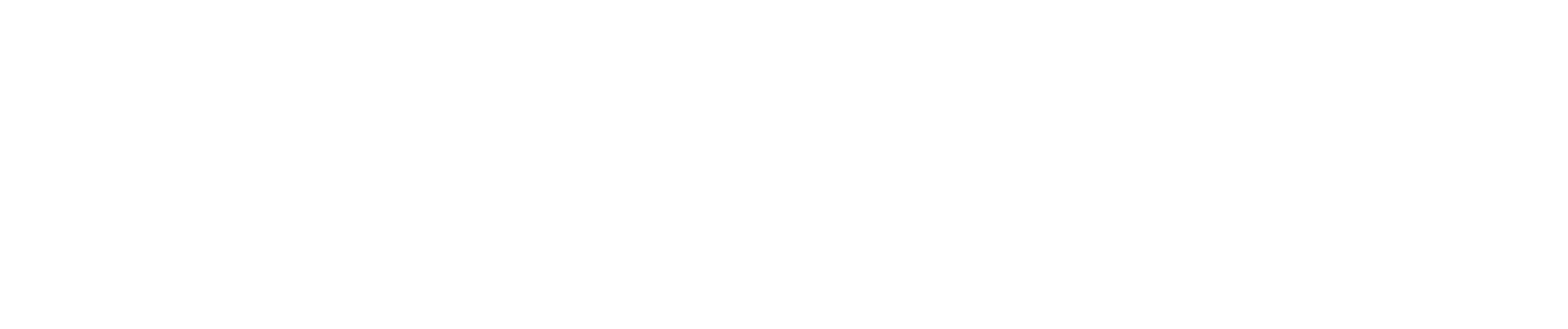 STEFMAR